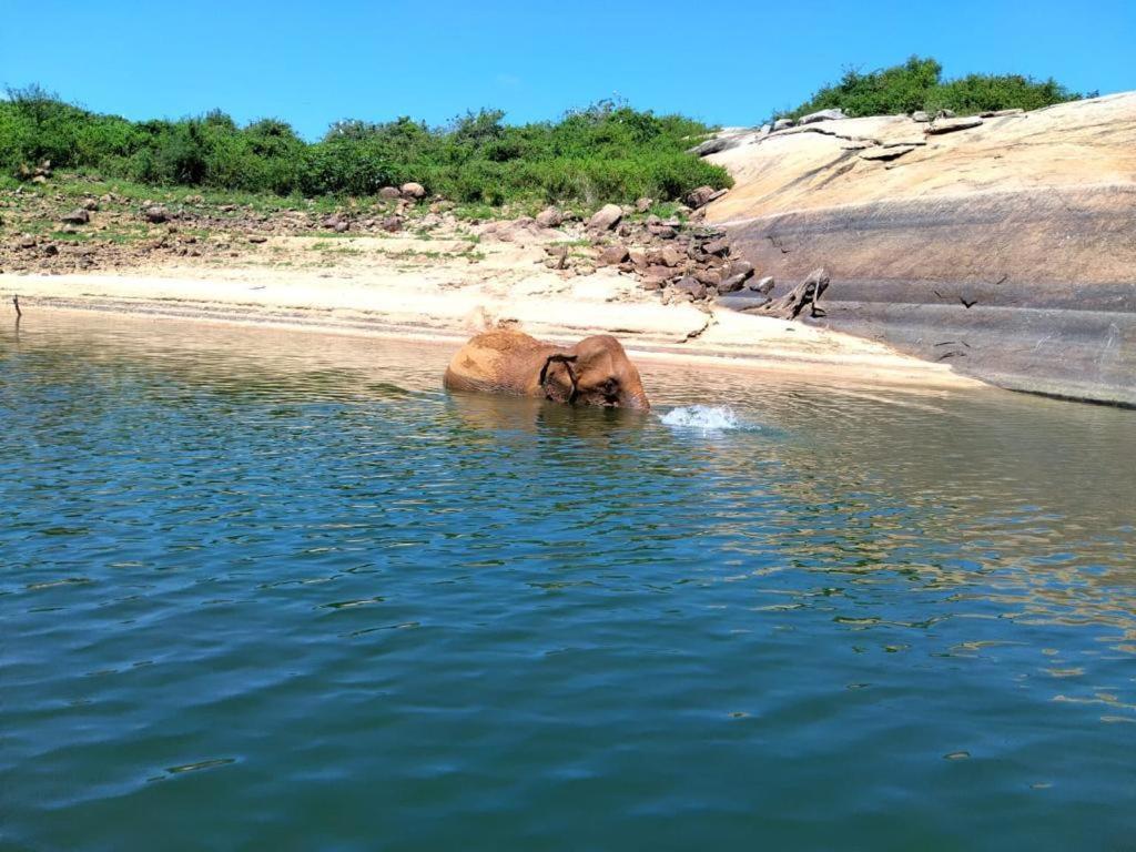 Gal Oya Lake View Inginiyagala Polwatta 外观 照片