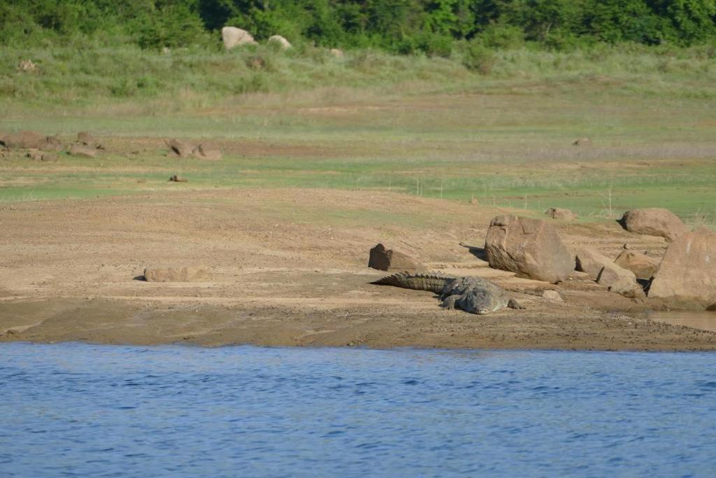 Gal Oya Lake View Inginiyagala Polwatta 外观 照片