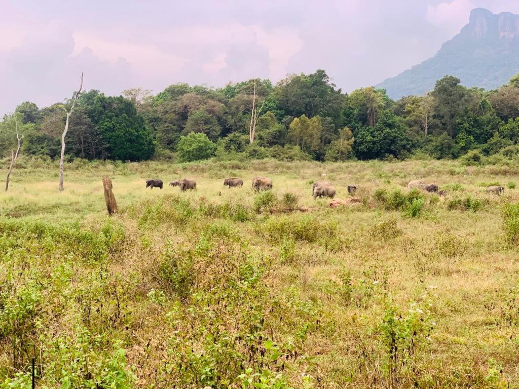 Gal Oya Lake View Inginiyagala Polwatta 外观 照片